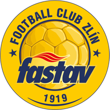 维霍维纳