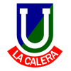 智利大学